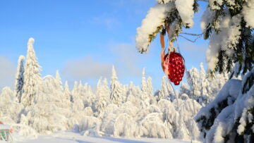 Безвизовый въезд на Шри-Ланку для россиян