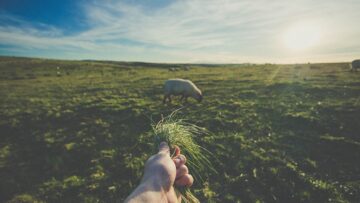 На Самуи в отелях ограничивают подачу питьевой воды.