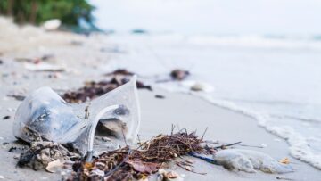 Открытие сезона отдыха в Анапе вызывает сомнения у Савельева.