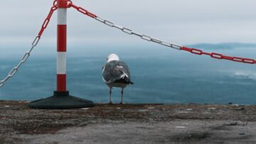 Новый весенний рейс из Сочи в Израиль
