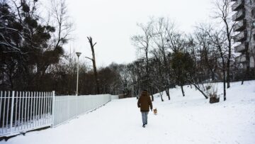 В Турции станет больше бесплатных пляжей
