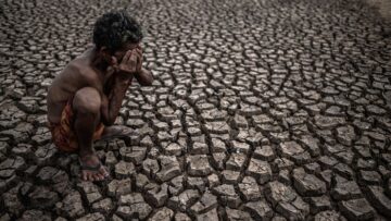 Россия и Китай рассматривают возможность взаимного признания водительских удостоверений.