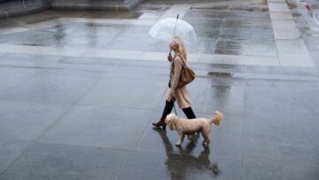 В Геленджик из Санкт-Петербурга теперь можно добраться прямым рейсом.