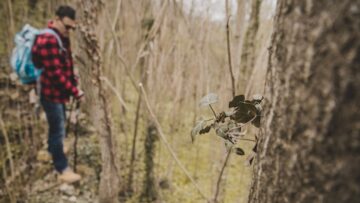 Трагическое ДТП в Египте: 39 российских туристов пострадали, один погиб