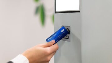 В Астраханской области расцвели редкие тюльпаны Шренка