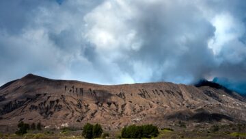 Американка незаметно прошла на рейс в Париж без билета