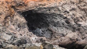 В России развернута проверка деятельности экскурсоводов.