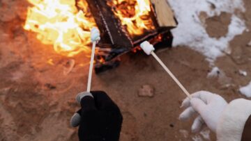 Минтранс рассматривает возможность бесплатной коррекции ошибок в авиа- и железнодорожных билетах
