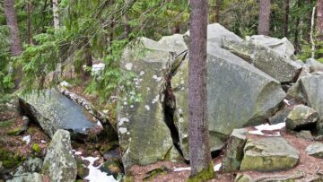 Другие страны приостановили полёты Boeing 737-Max 9 вслед за США