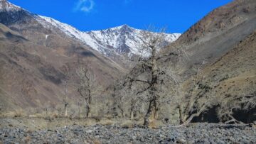 В Венеции с лета 2024 года туристов будут идентифицировать по QR-кодам