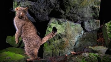 Стоимость аренды жилья для туристов в Турции вырастет на 30%