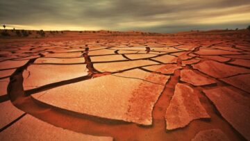 В Сербии появилась возможность оплачивать поездки в «Яндекс.Такси» картами «Мир»