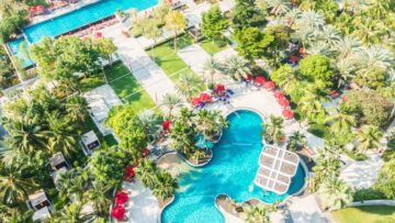 В Сочи грозят штрафами за сбор мимозы в несанкционированных местах.