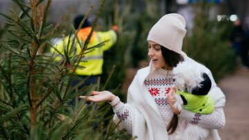 Новости авиакомпаний