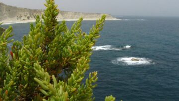 AirBaltic отказала в посадке на рейс россиянину с шенгенской визой