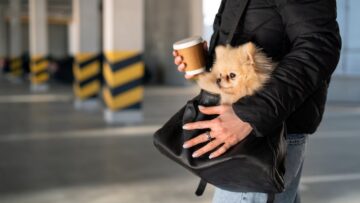 В Колумбии зафиксированы два мощных землетрясения.