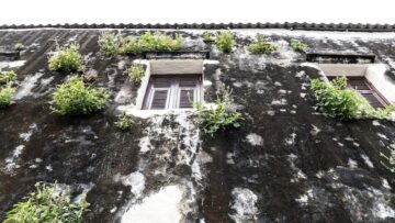 Таиланд назвал количество туристов, посетивших страну в 2024 году