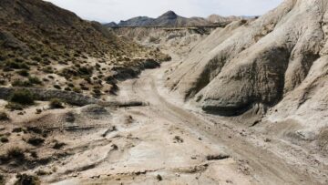 Ночью проводница высадила пассажиров поезда в сибирской тайге