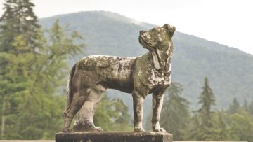 AZUR air возобновила выполнение чартерных рейсов в Анталию из двадцати российских городов.