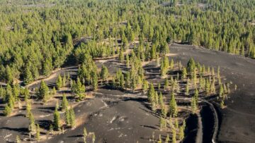 Канатная дорога в Москве приостановила работу на время.