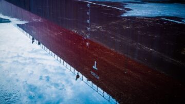 Мимоза в Сочи расцвела до наступления весны