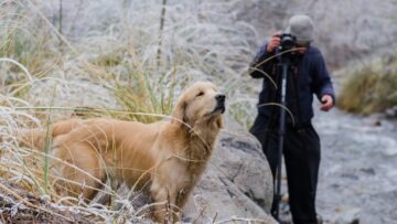 Комик Гурам Амарян прокомментировал бизнес-зал аэропорта Нижневартовска