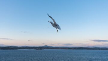 Отдых в Турции летом 2024: открыто раннее бронирование