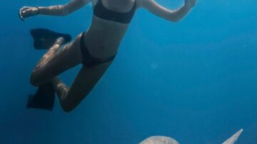 Акула атаковала дайвера в водах Коста-Рики