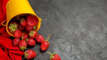 Россиянина укусила рыба во время отдыха на Маврикии