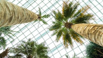 Валаам и Соловки становятся новыми направлениями для путешествий