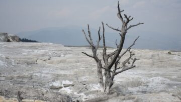 Рейтинг самых точных авиаперевозчиков мира по итогам 2023 года