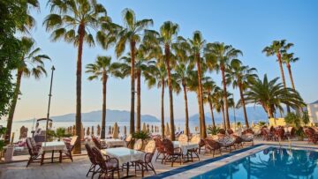 На египетском курорте снова появилась акула