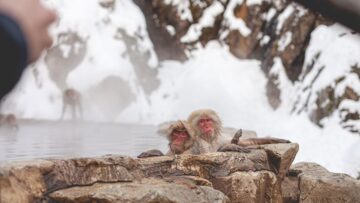 Туристов с детьми эвакуируют из-за наводнения в горах Кубани