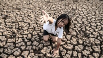 Во Флоренции появится новый аэропортовый терминал с виноградниками на крыше