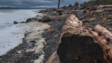 Туристка погибла в результате обрушения стеклянного моста в Индонезии