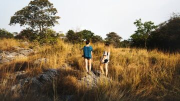 Борт, следовавший из Москвы в Турцию, совершил дозаправку в промежуточном аэропорту.