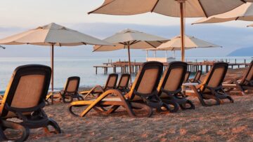 Ветер сломал главную ёлку Вашингтона перед праздничным зажжением огней.