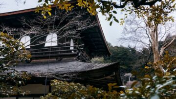 Взыскать компенсацию с туроператора станет труднее для туристов.