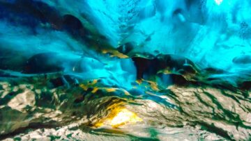 На горнолыжных курортах Сочи появится универсальный ски-пасс