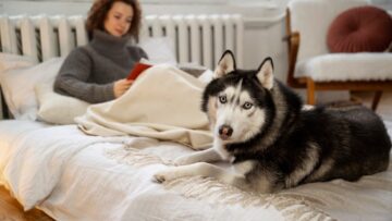 Авиакомпании соревнуются в дешевизне: туристов отвезут в Дубай менее чем за 5 тысяч рублей в каникулы