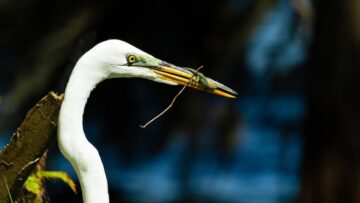 Пассажиры рейса Air Arabia, прибывшего в аэропорт Домодедово из Шарджи, остались без багажа.