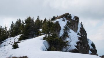 В московском отеле Cosmos VDNH предлагают бесплатные экскурсии для гостей города