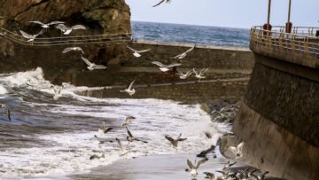 В московских аэропортах за день произошло семь задержек рейсов