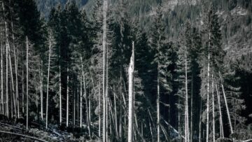 Франция увеличила количество выданных россиянам виз на 70% в 2023 году.