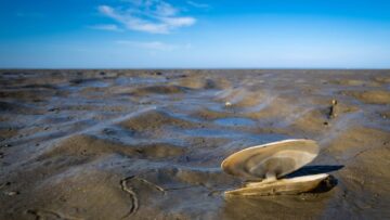Для путешественников, пересекающих Китай, безвизовый транзит продлен до 240 часов.
