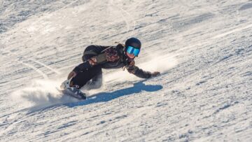 В Черногории состоится ежегодный Фестиваль мимозы