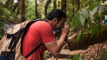 Банки Сбер и ВТБ начали возврат средств обманутым туристам «Открытого мира»