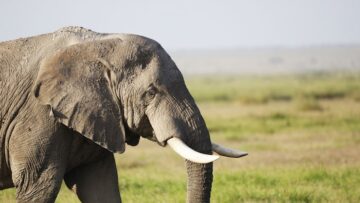 Алжир становится всё более популярным направлением среди путешественников