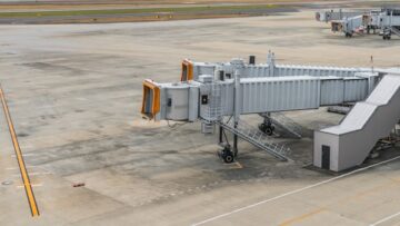 Слон на Шри-Ланке погиб под упавшим деревом, турист получил травмы