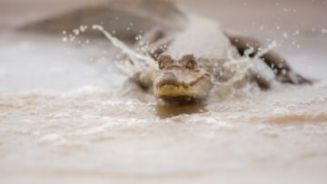 В Крыму из-за неблагоприятных погодных условий объявлен режим чрезвычайной ситуации и выходной день.